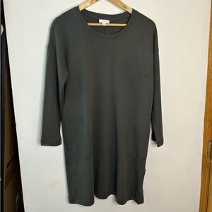 J. Jill Dark Gray Green Long Sleeve Sweatshirt Button Hem Dress
